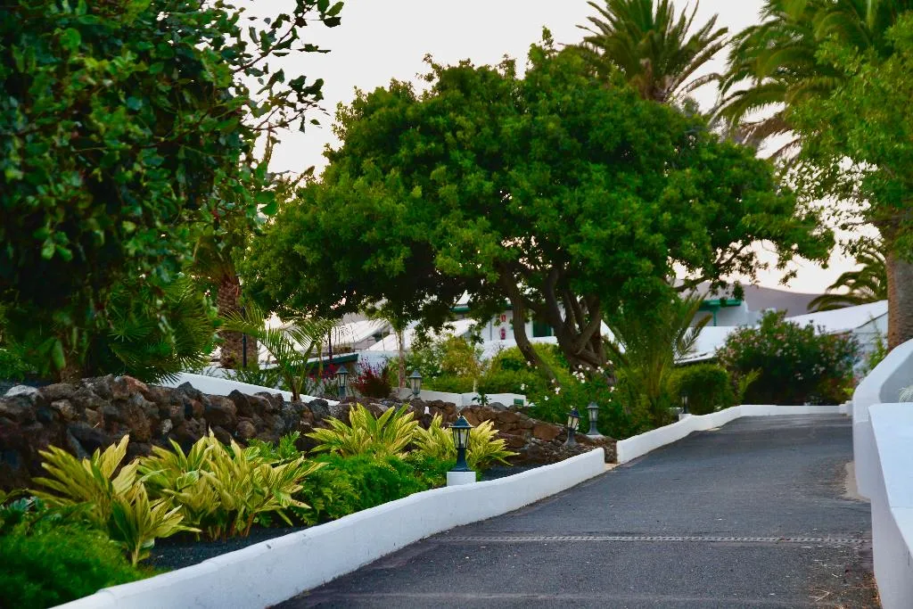 General view, Casas Heddy, Lanzarote