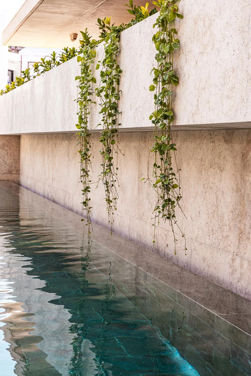 Pool, M Boutique Hotel - Designed for Adults, Cyprus