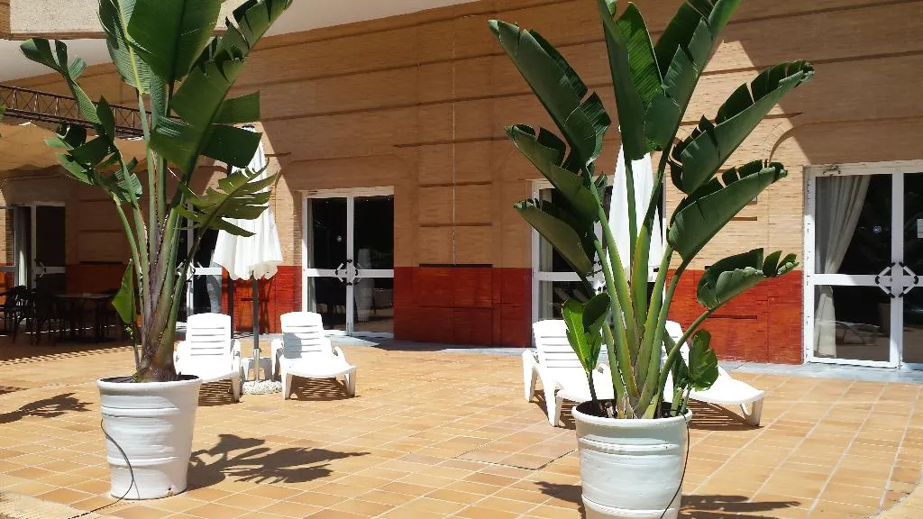 Terrace, Hotel TRH La Motilla, Seville