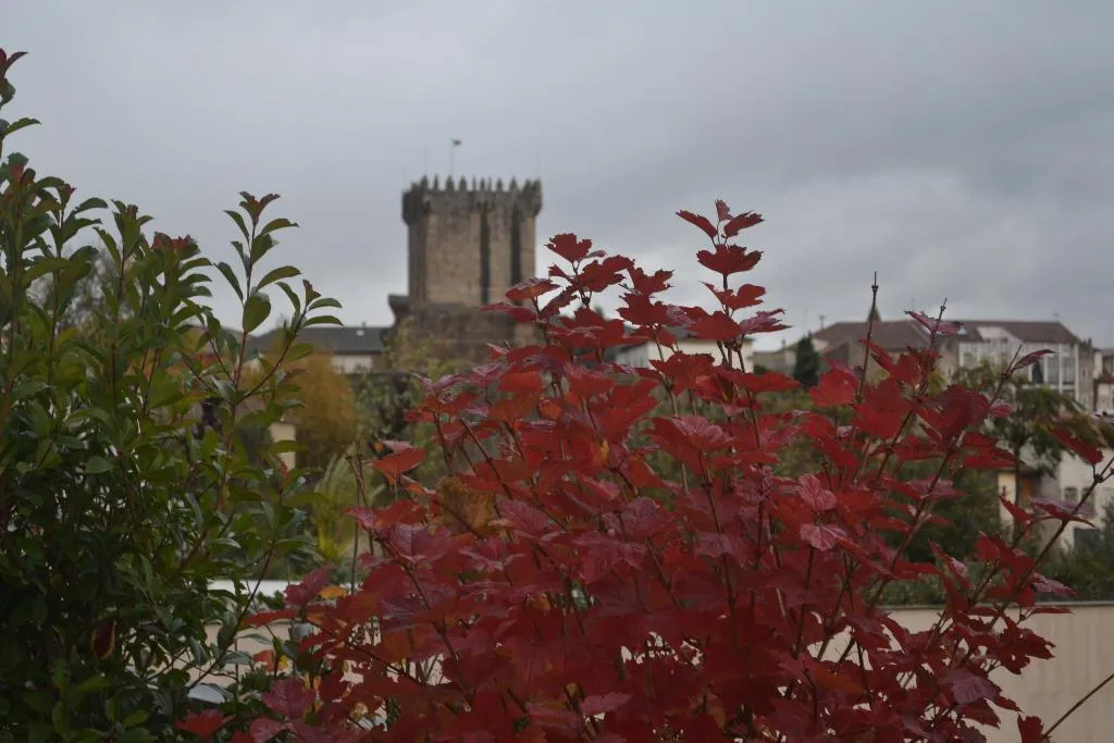 General view, Aquae Flaviae - Premium Chaves, Porto