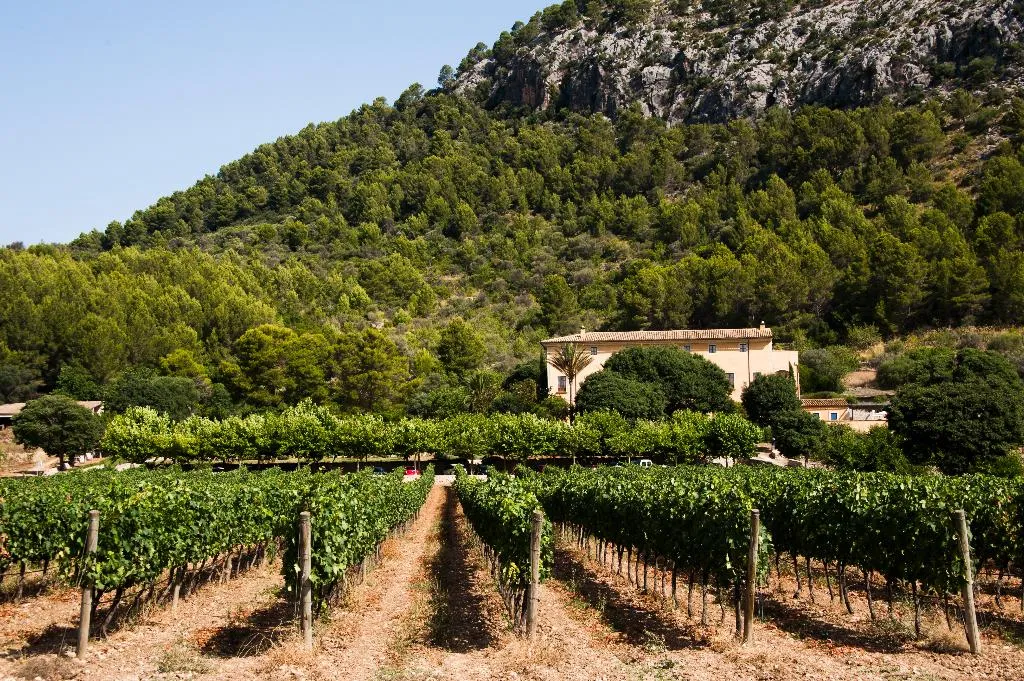 General view, Son Brull, Majorca