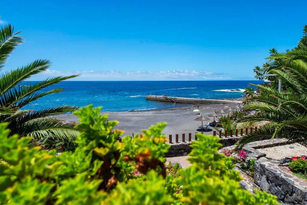 Beach, Apartamentos Albatros, Tenerife