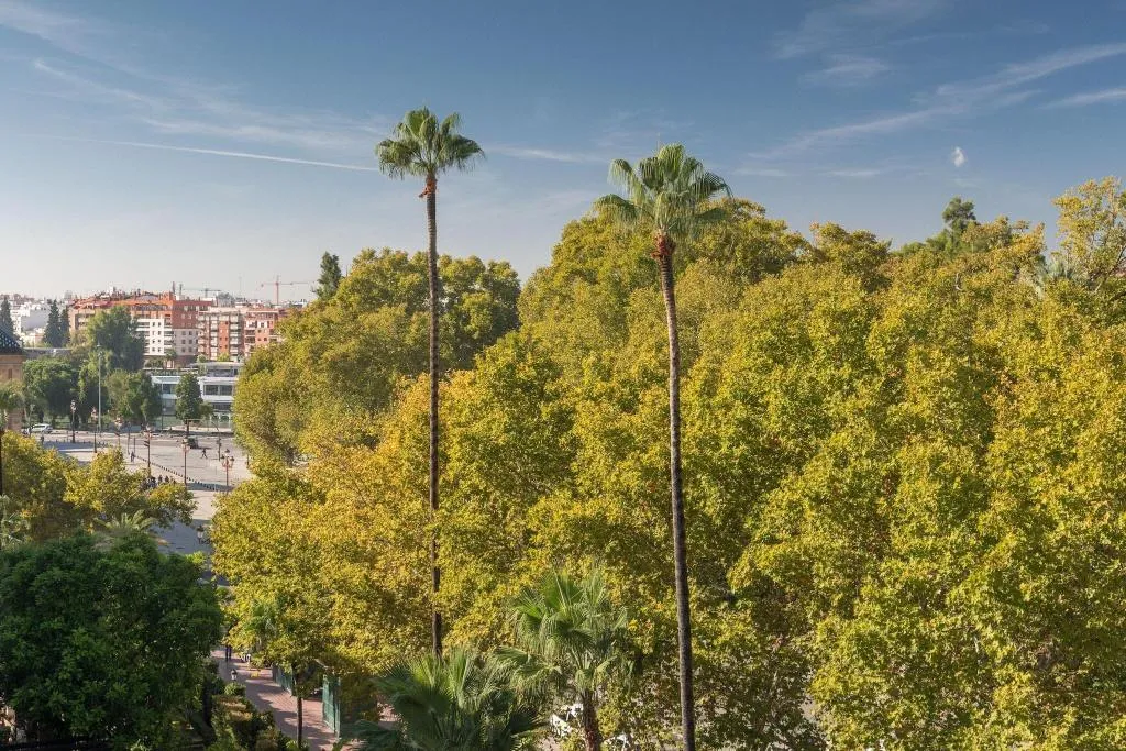 SUITE KING BED ONE BEDROOM  Room, Alfonso XIII, Seville