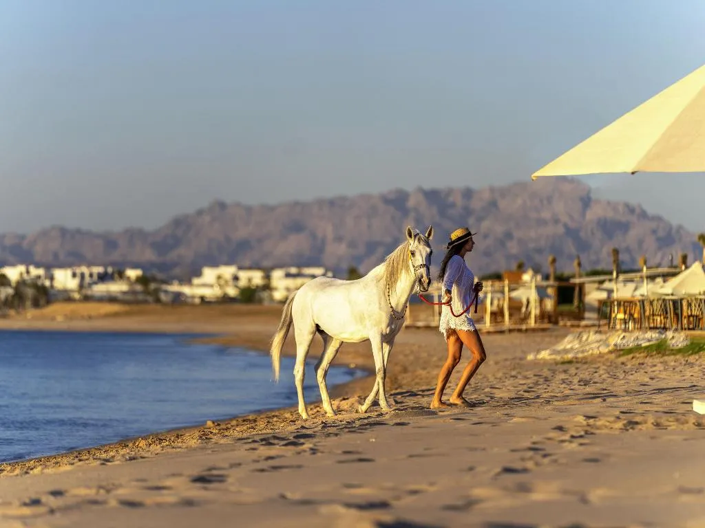General view, Magawish Village & Resort, Red Sea Riviera
