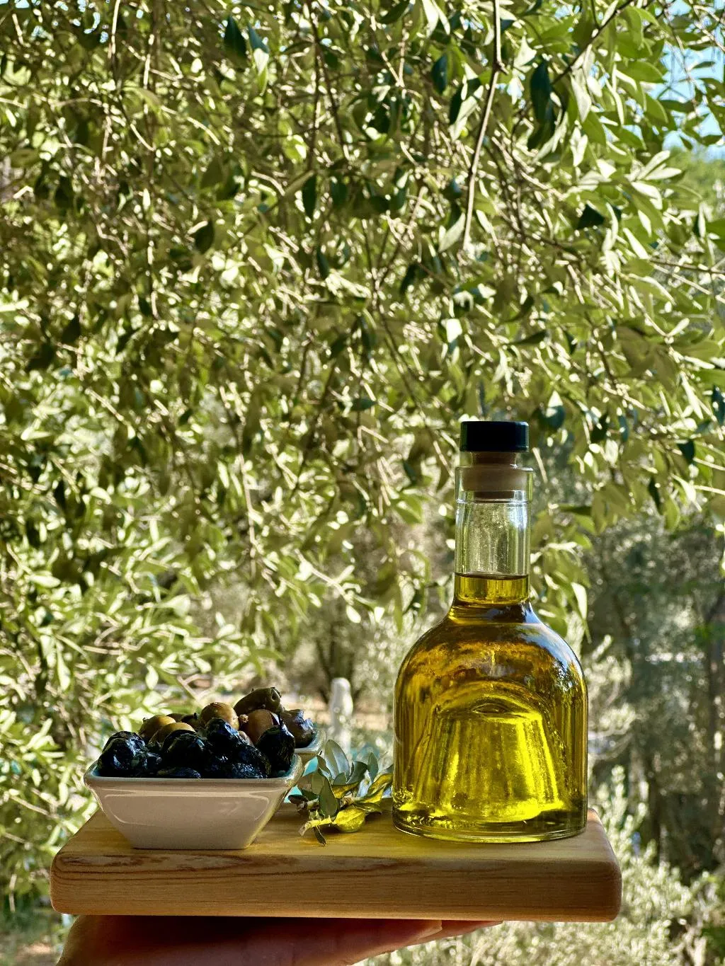 Restaurant, Pure Life Gocek, Dalaman