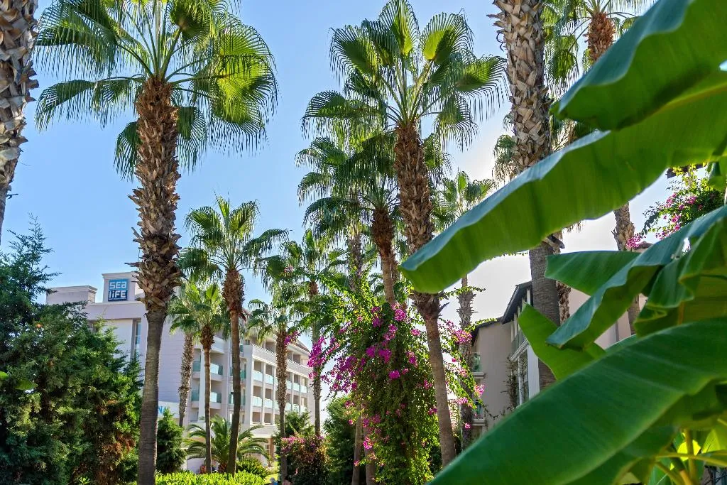 General view, Sealife Buket Beach Hotel, Antalya