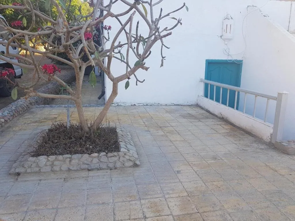 Room, Lilly Rooms And Studios, Red Sea Riviera