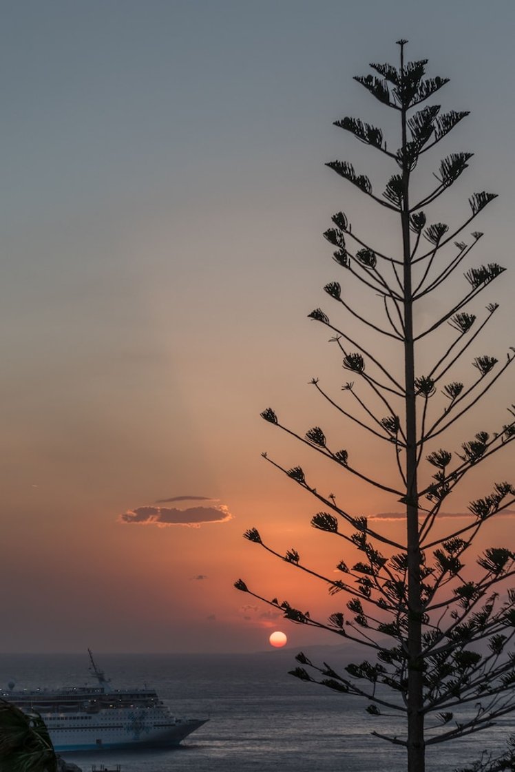 Arocaria, Mykonos
