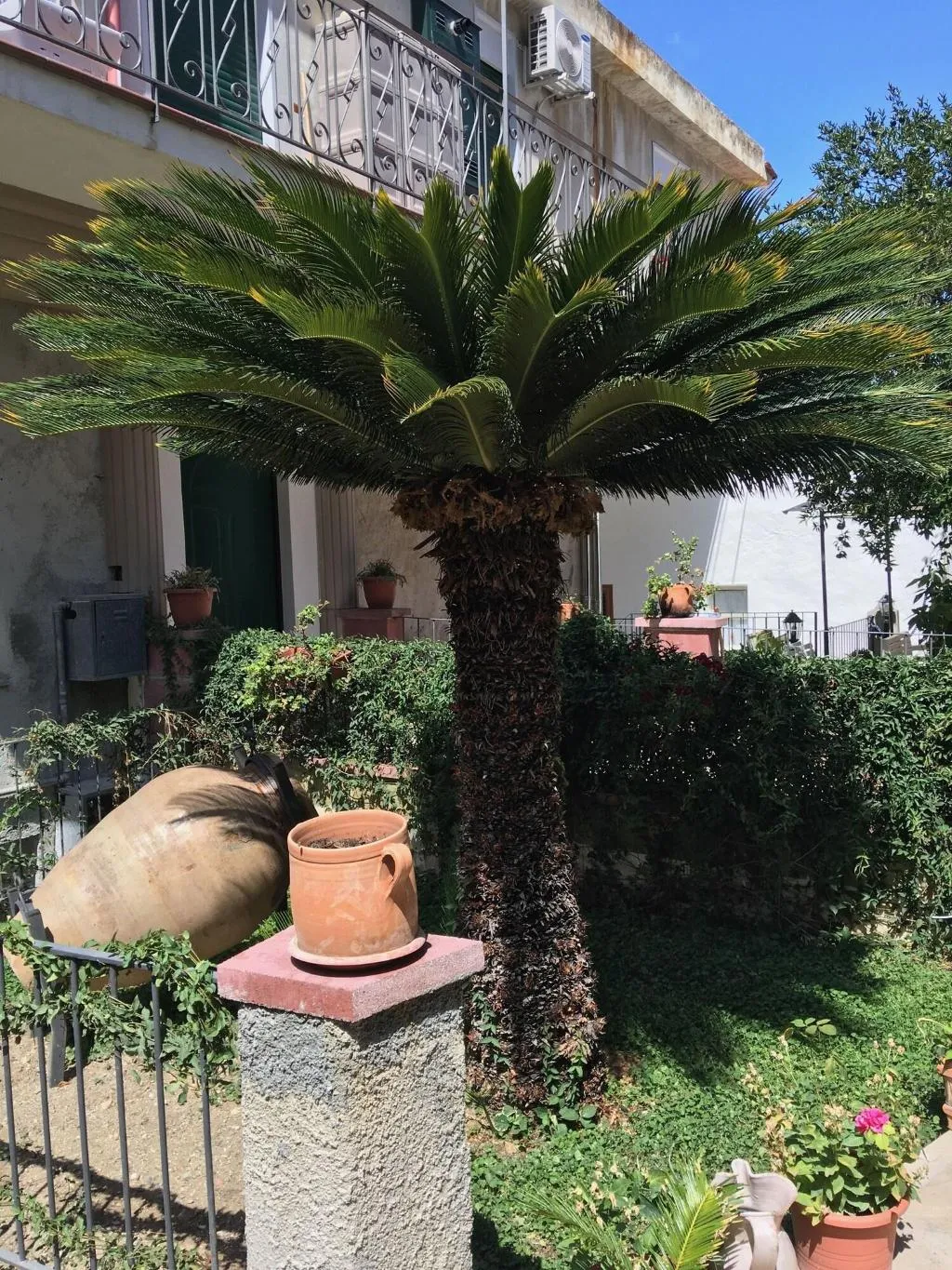 General view, B&B Arte&Mare, Catania