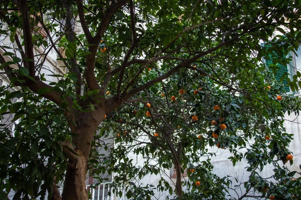 Terrace, Le Stanze del Vicere Boutique Hotel, Naples