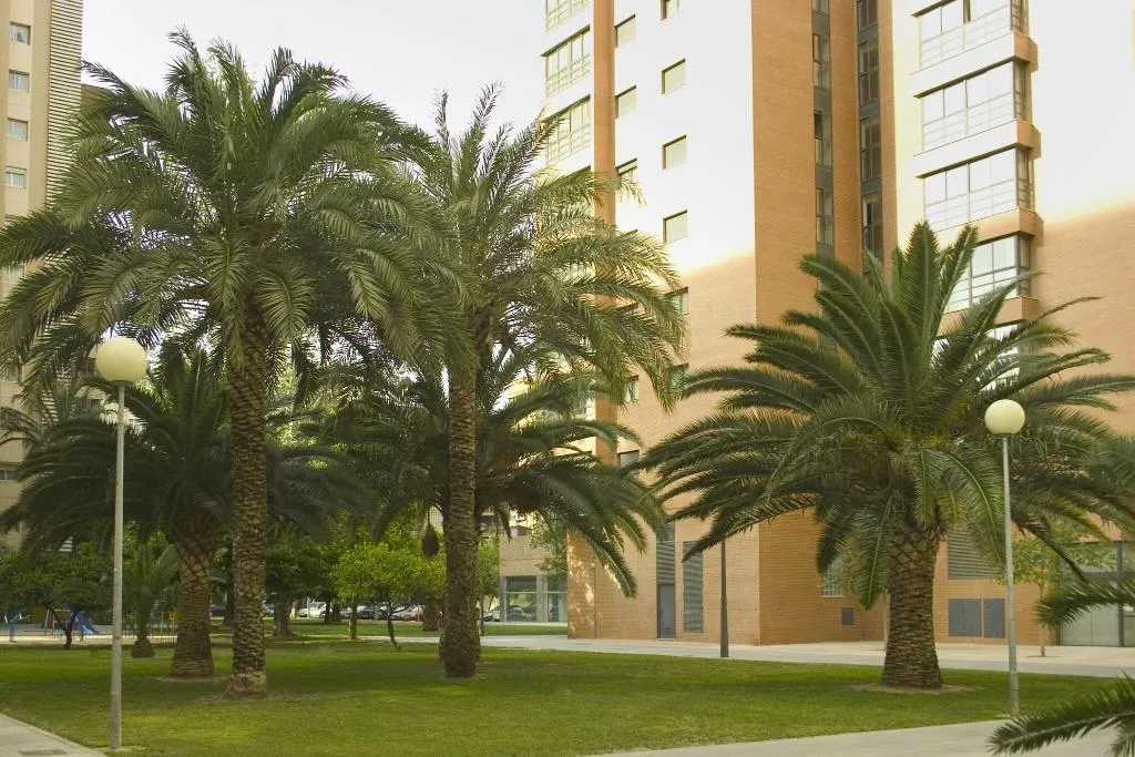 Terrace, Plaza Picasso Apartamentos, Valencia