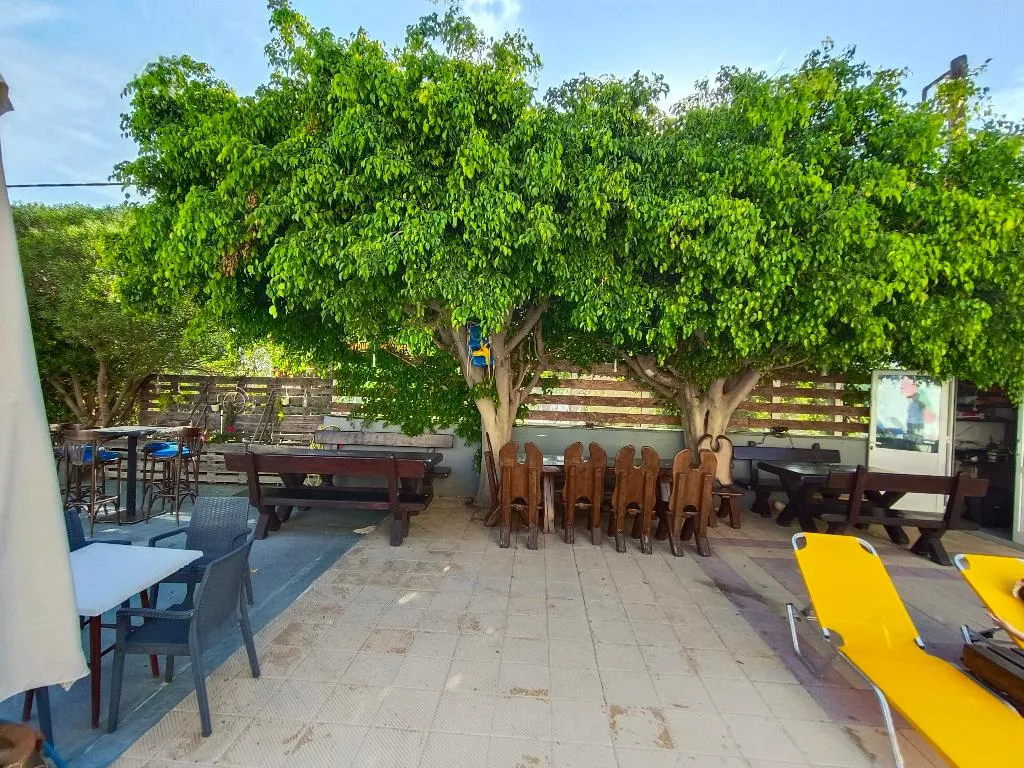 Pool, Albatross Apartments, Crete
