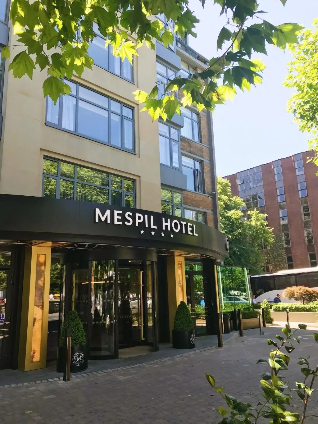 General view, Mespil, Dublin