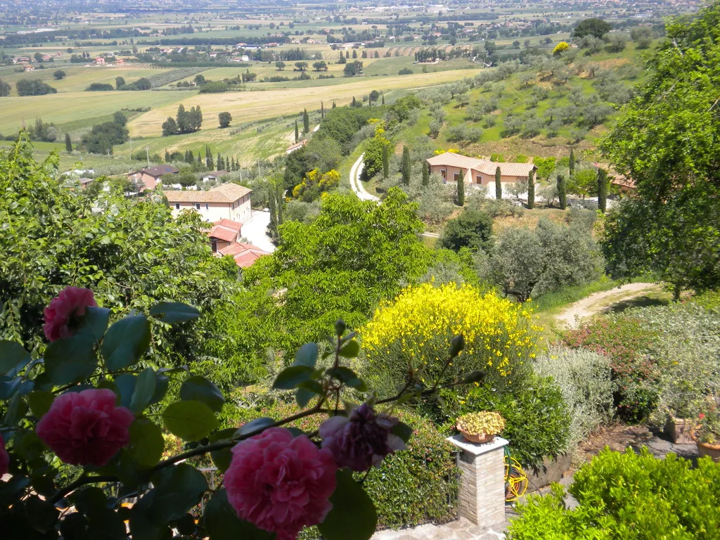 APARTMENT SUPERIOR ONE BEDROOM Room, Poggio Degli Olivi (Appartamenti), Perugia