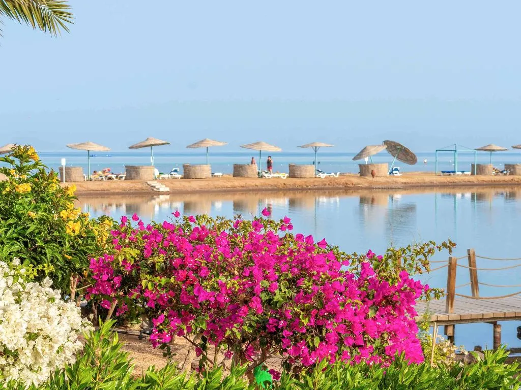 Room, Movenpick Resort & Spa El Gouna, Red Sea Riviera