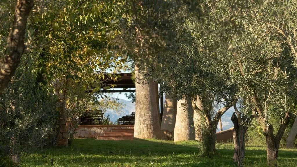 General view, Finca Son Miranda, Majorca