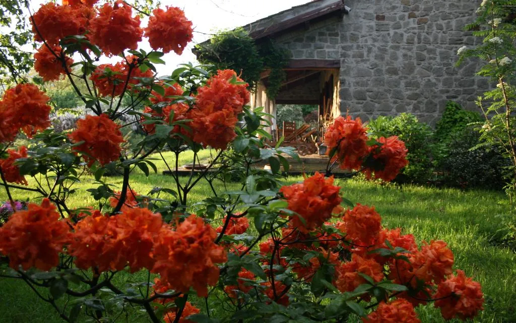 Room, Cottage Beach Vico, Rome