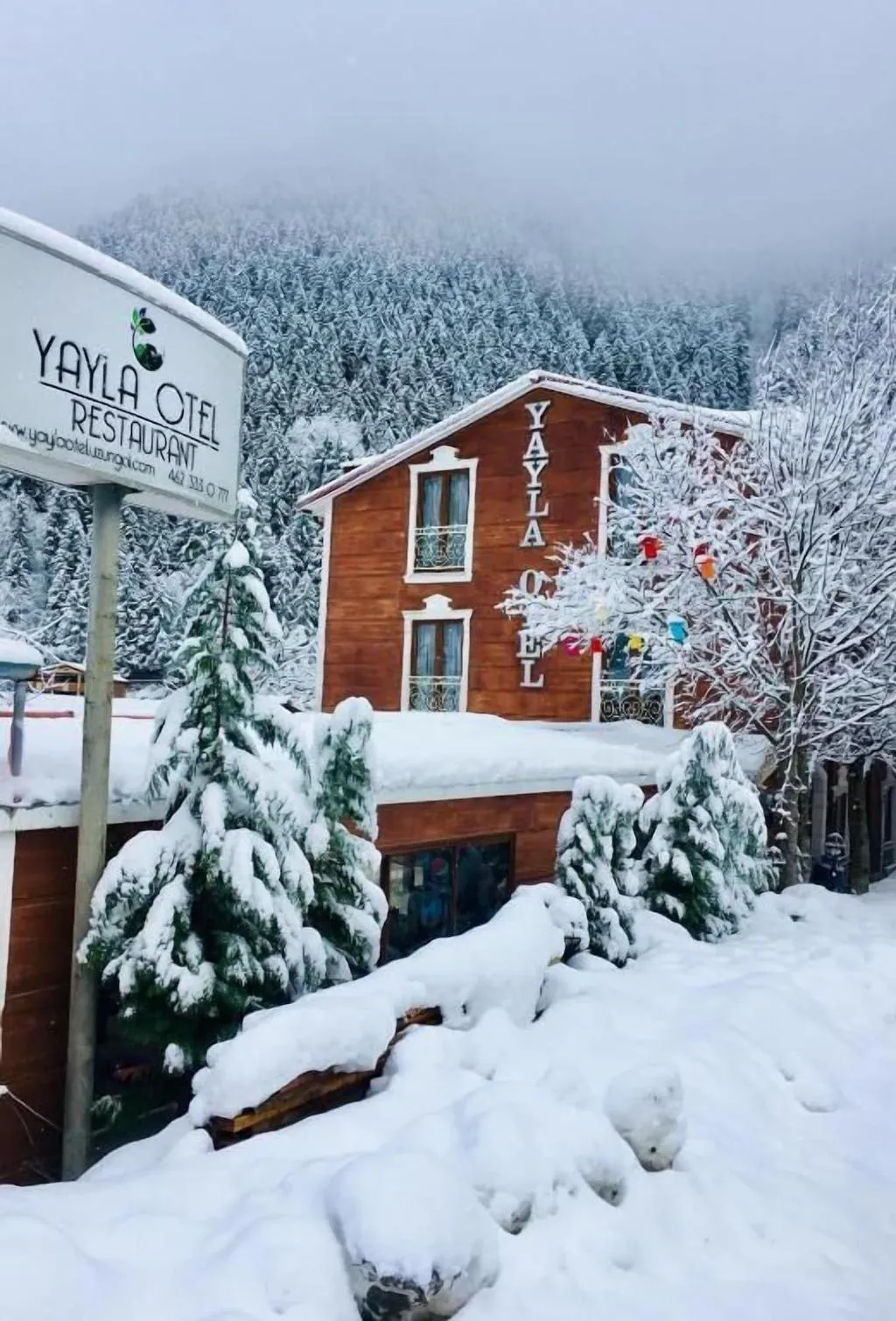 General view, Yayla Hotel, Izmir