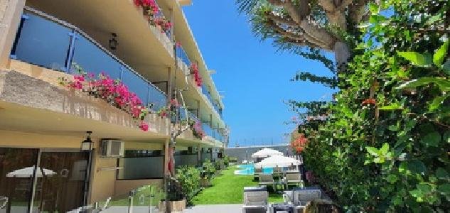 Don Palomon, Gran Canaria