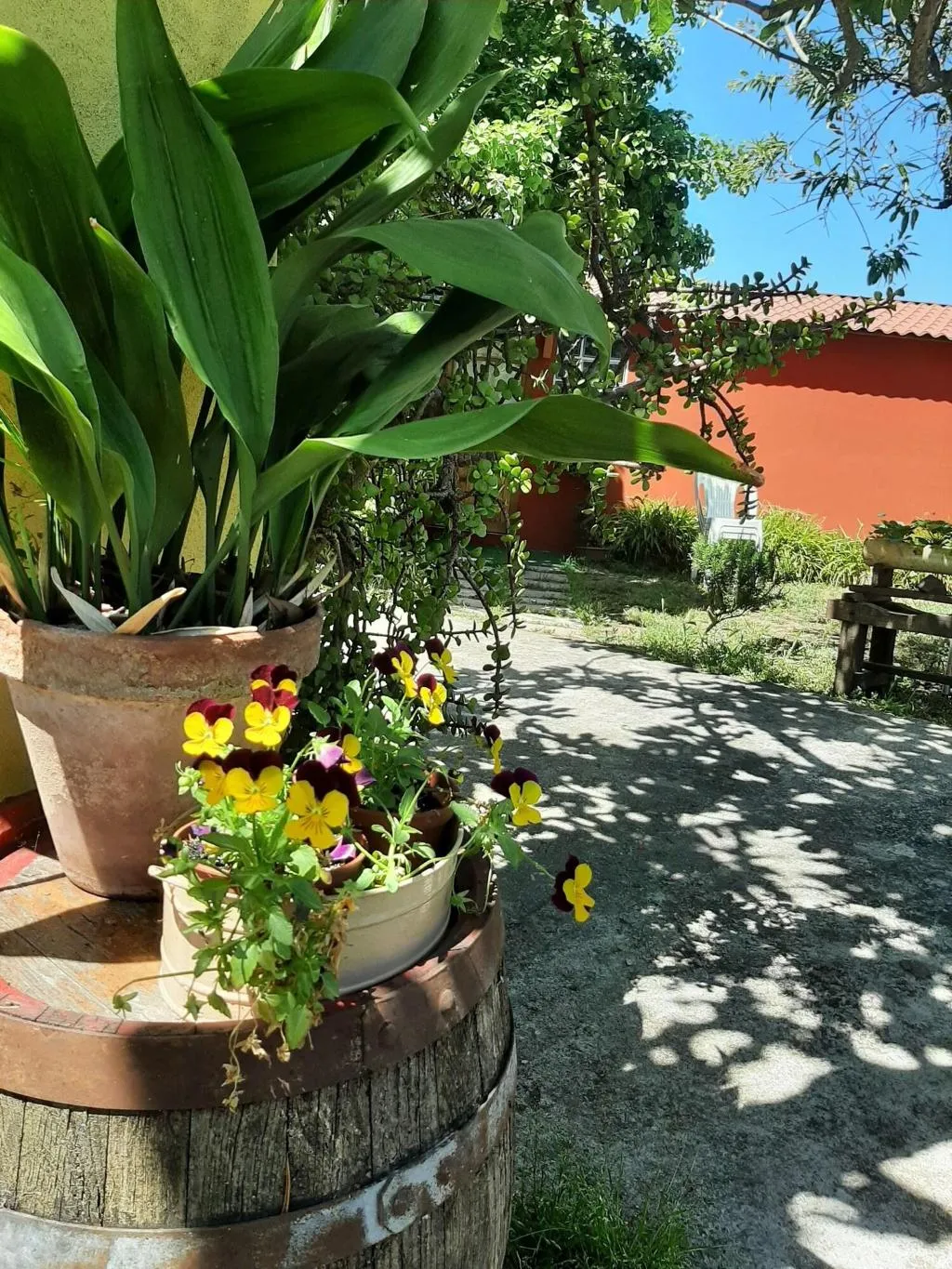 General view, Bed And Breakfast Dal Pozzo, Alghero