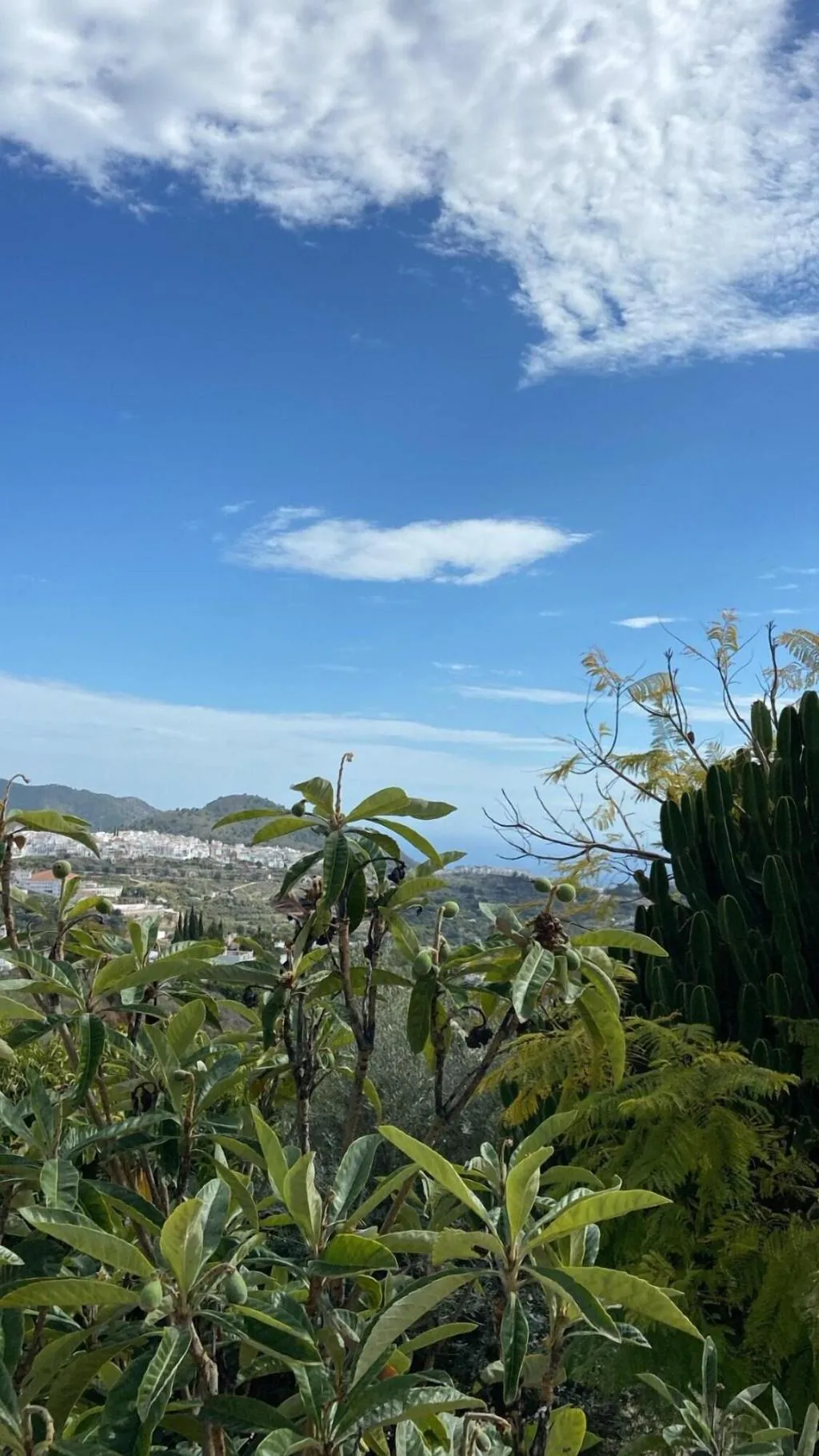 General view, La Posada Morisca, Costa Del Sol