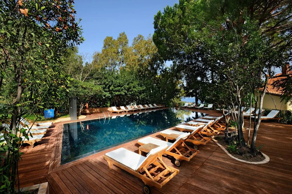 Pool, Alberi Del Paradiso, Palermo