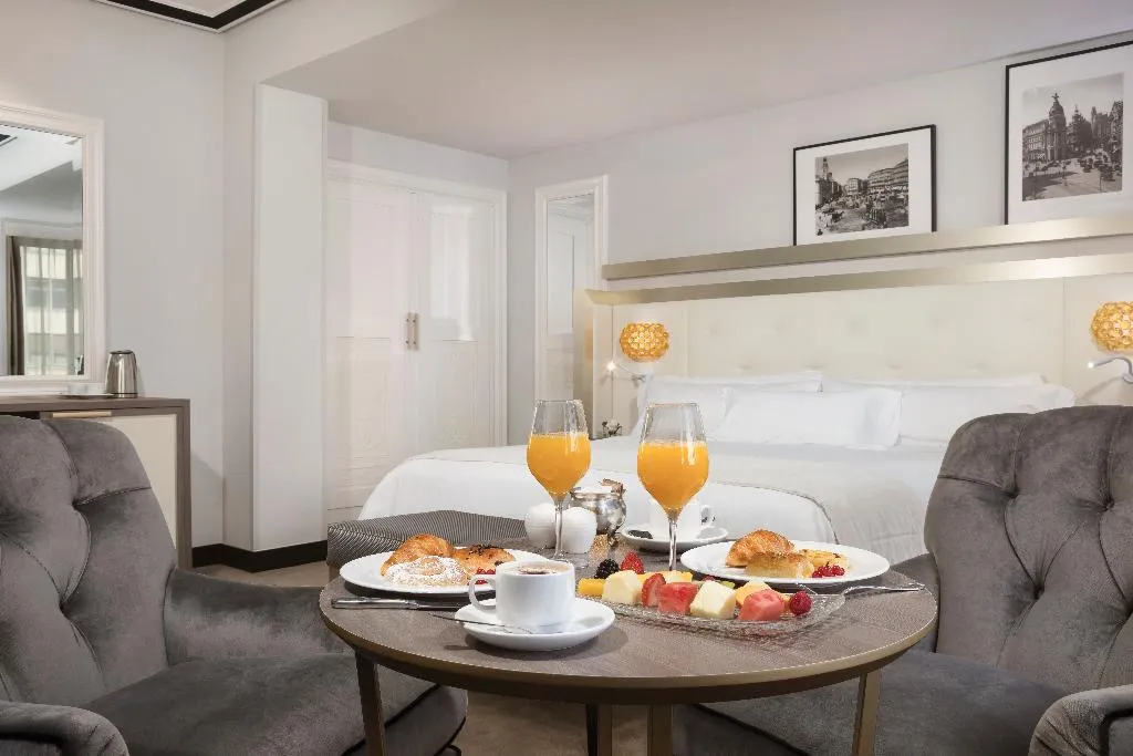 DOUBLE SUPERIOR Room, Melia Castilla, Madrid