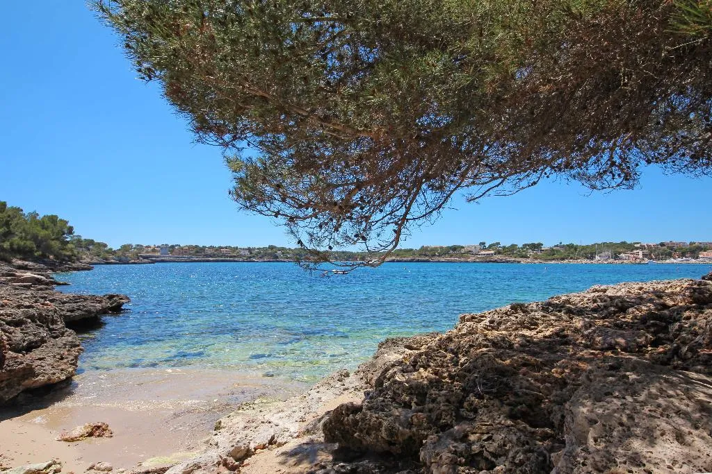 Beach, Niu d'Aus, Majorca
