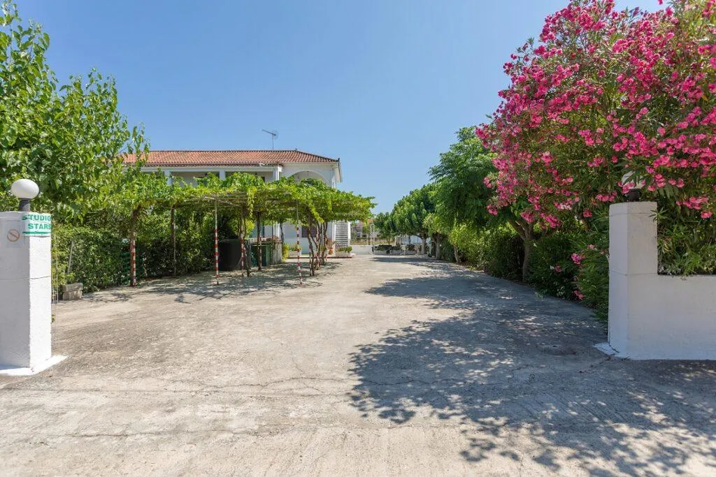 General view, Studio Stars, Zante