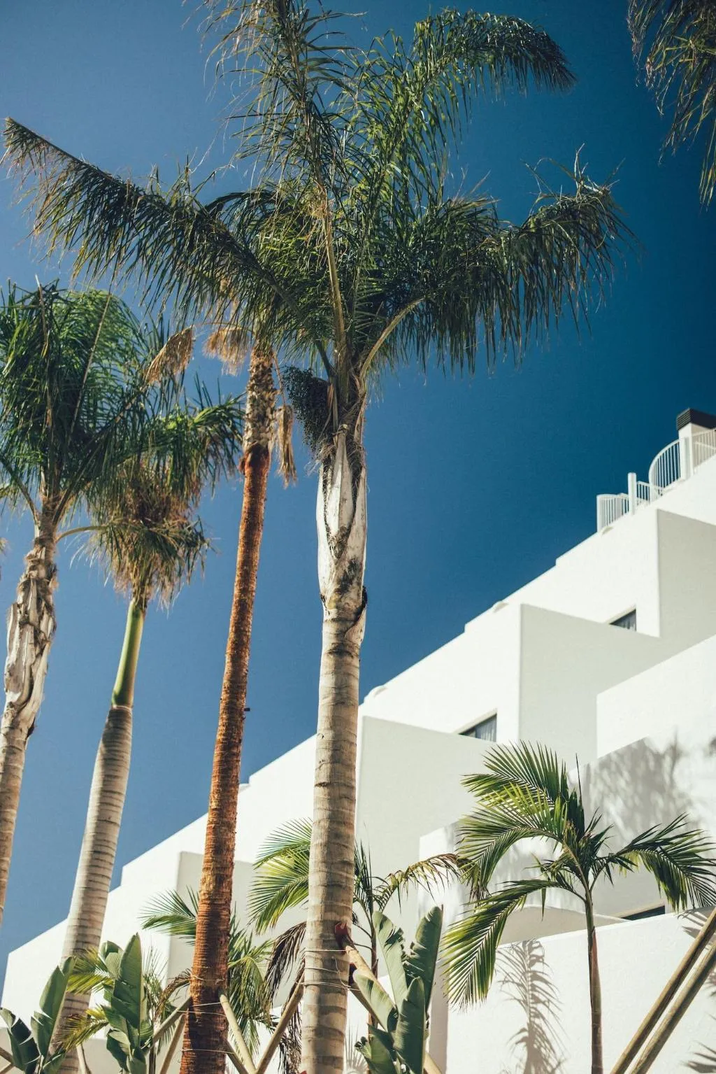 General view, Lanuza Suites, Costa Blanca