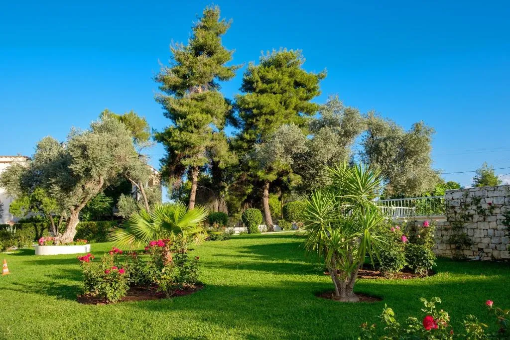 General view, Palmariva Beach Hotel, Athens