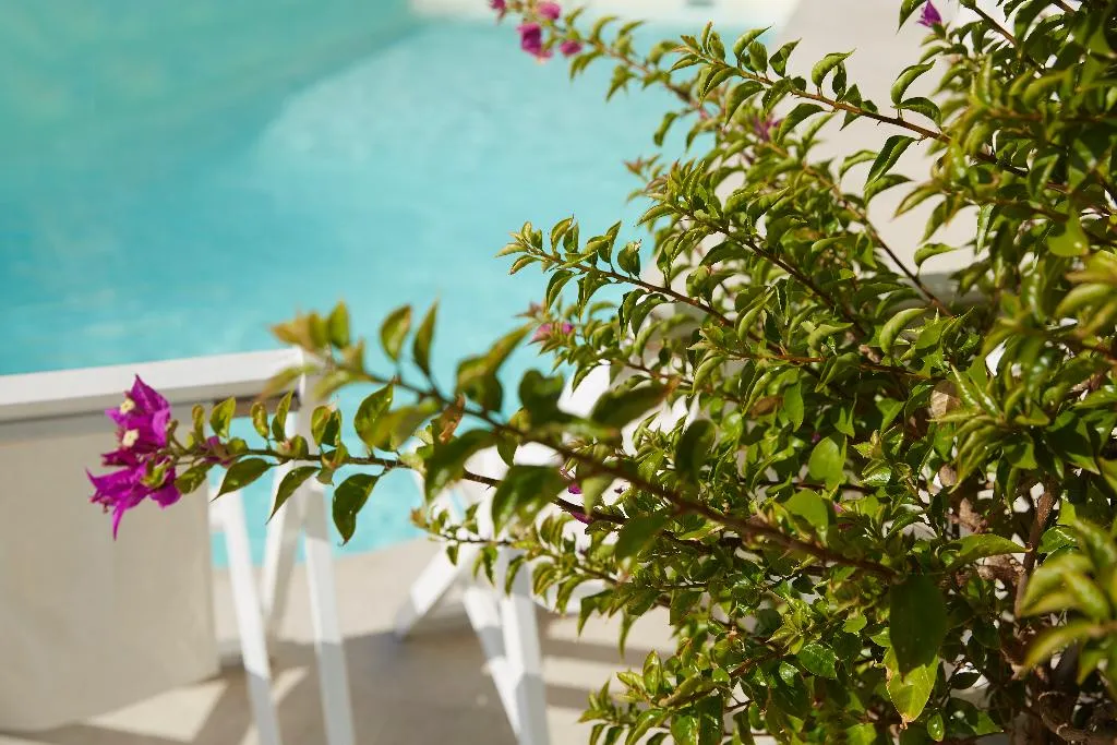 Pool, Mon Repos Palace,Hotel, Corfu