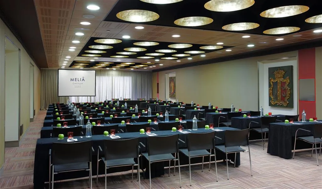 Conferences, Melia Castilla, Madrid
