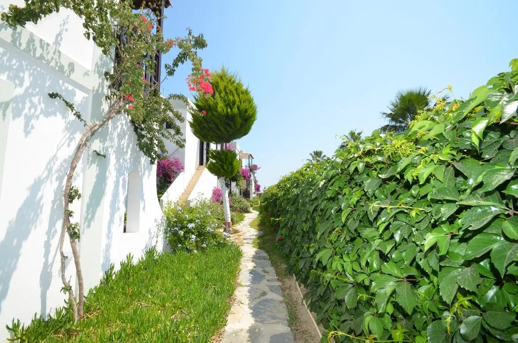 General view, Salinas Hotel Bodrum, Bodrum