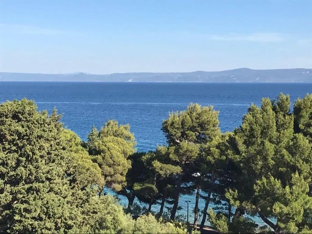 Room, Villa Mediterranea, Split