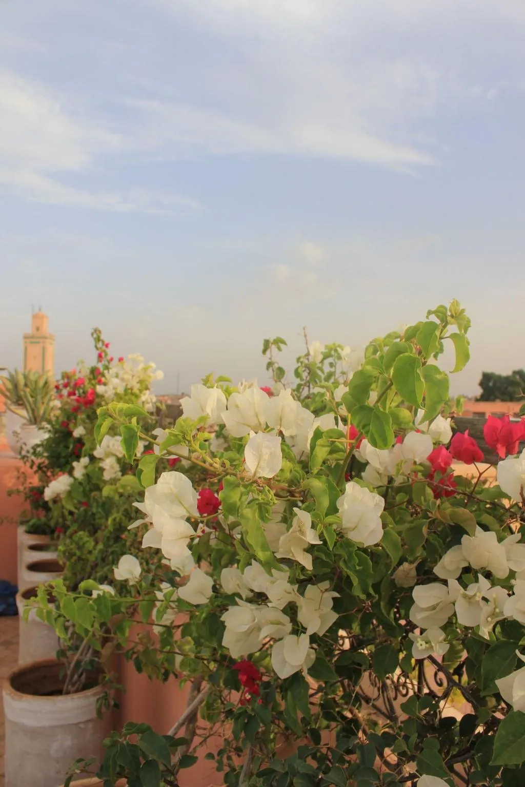 Room, Riad Du Ciel, Marrakech