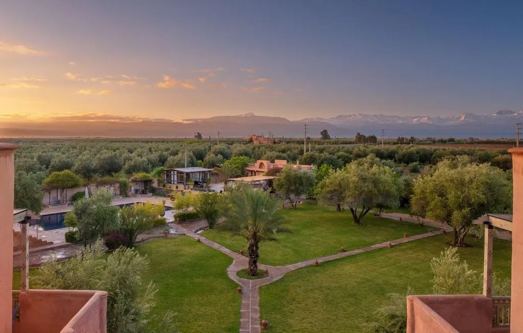 General view, Le Chant Des Oliviers, Marrakech