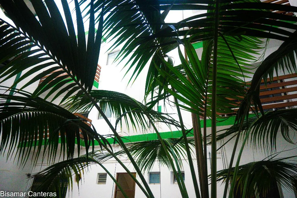 STUDIO STANDARD Room, Brisamar Canteras, Gran Canaria