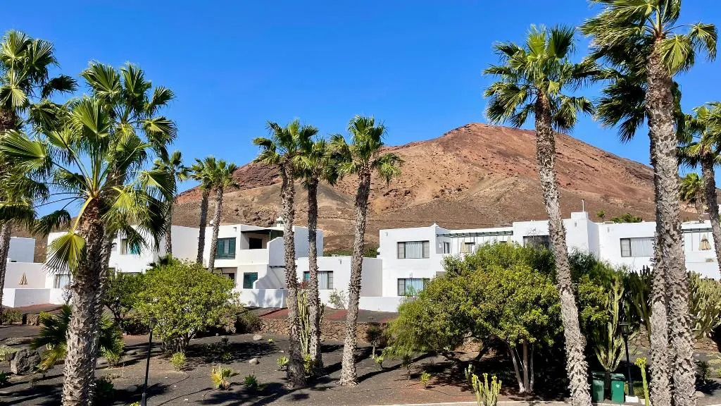 General view, Palmeras Garden, Lanzarote