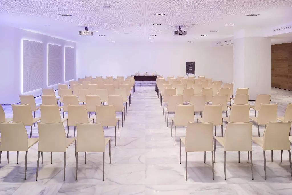 Conferences, Melia Lebreros, Seville