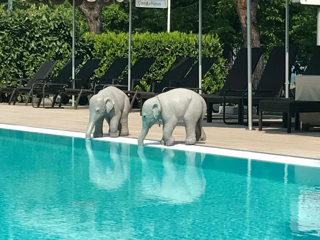 Pool, Alexandra Stay Residence, Milan