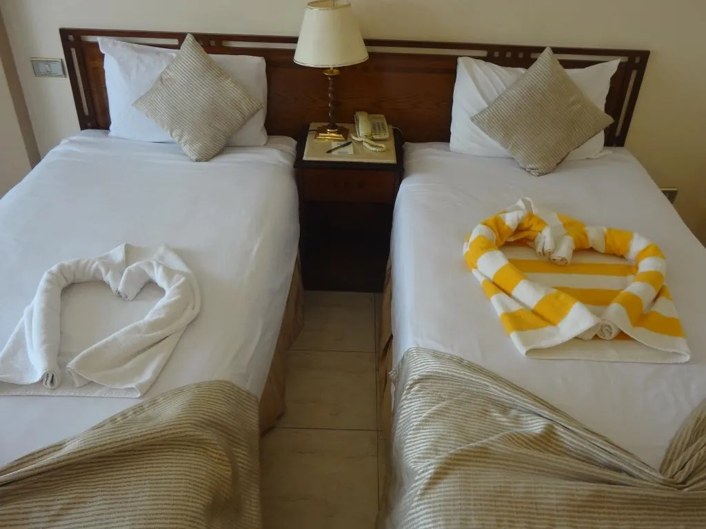 SINGLE STANDARD Room, Swiss Inn Nile, Cairo