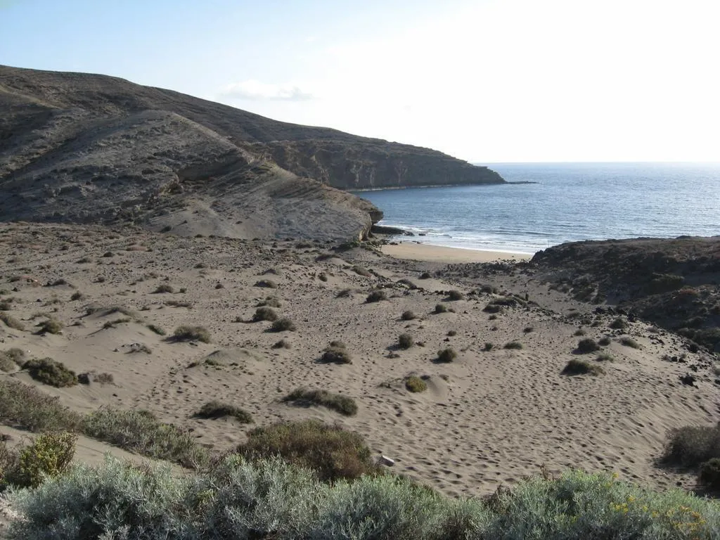 General view, Carel, Tenerife