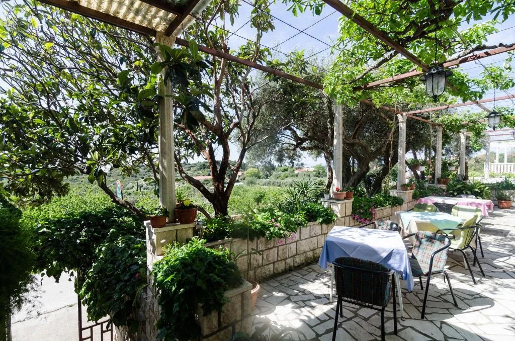 Terrace, Guesthouse Moretić, Dubrovnik
