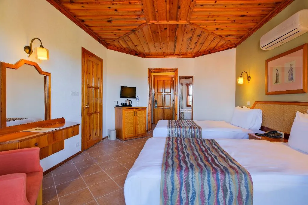 DOUBLE SINGLE USE STANDARD Room, Montana Pine, Dalaman