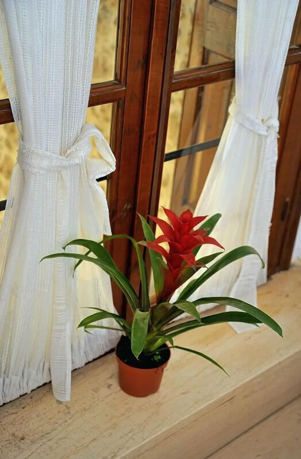 Lobby, Byzantine Hotel, Crete