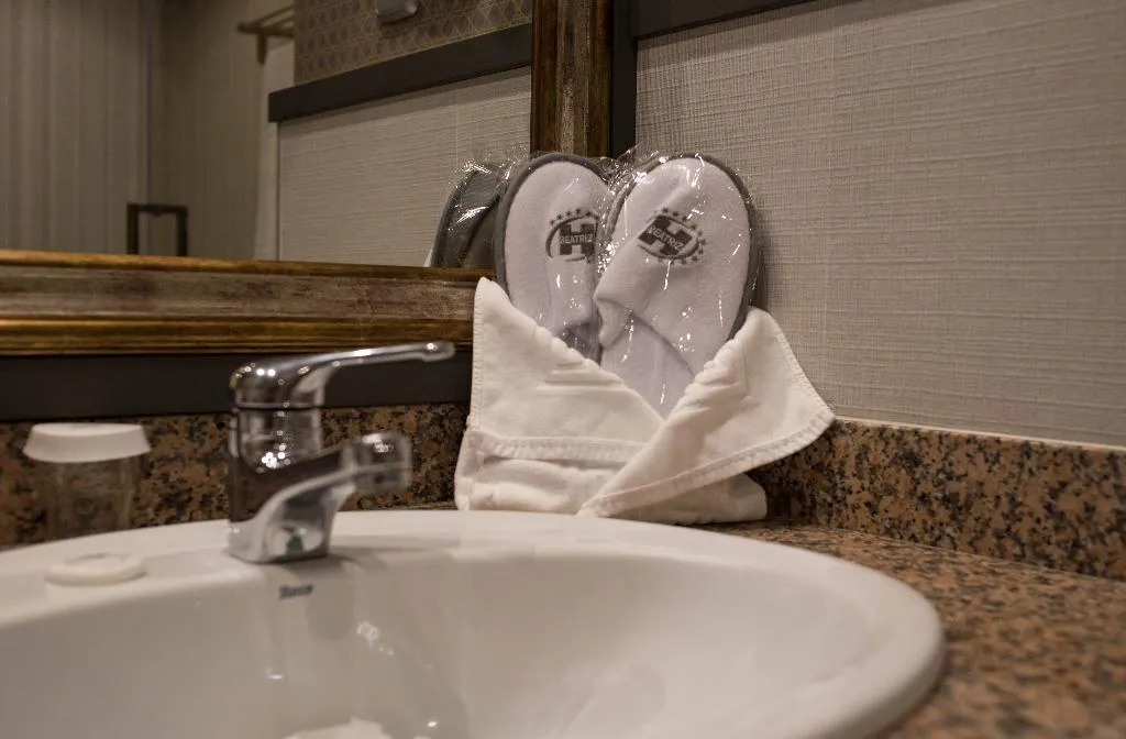 JUNIOR SUITE STANDARD Room, Beatriz Toledo Auditorium & Spa, Madrid