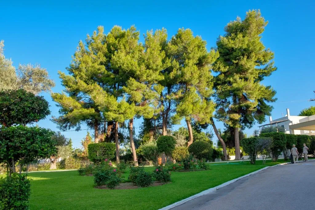 General view, Palmariva Beach Hotel, Athens