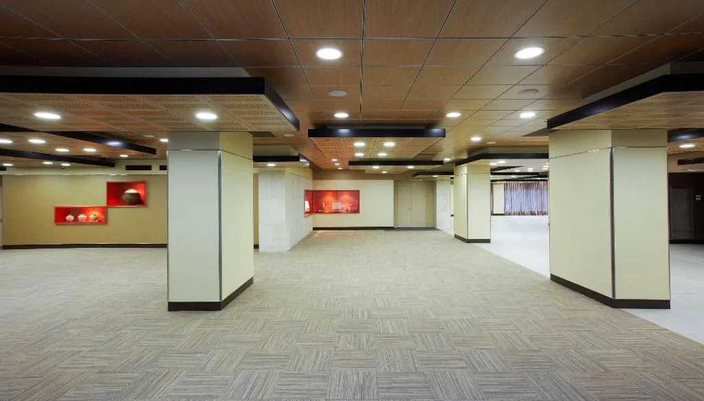 Conferences, Melia Castilla, Madrid