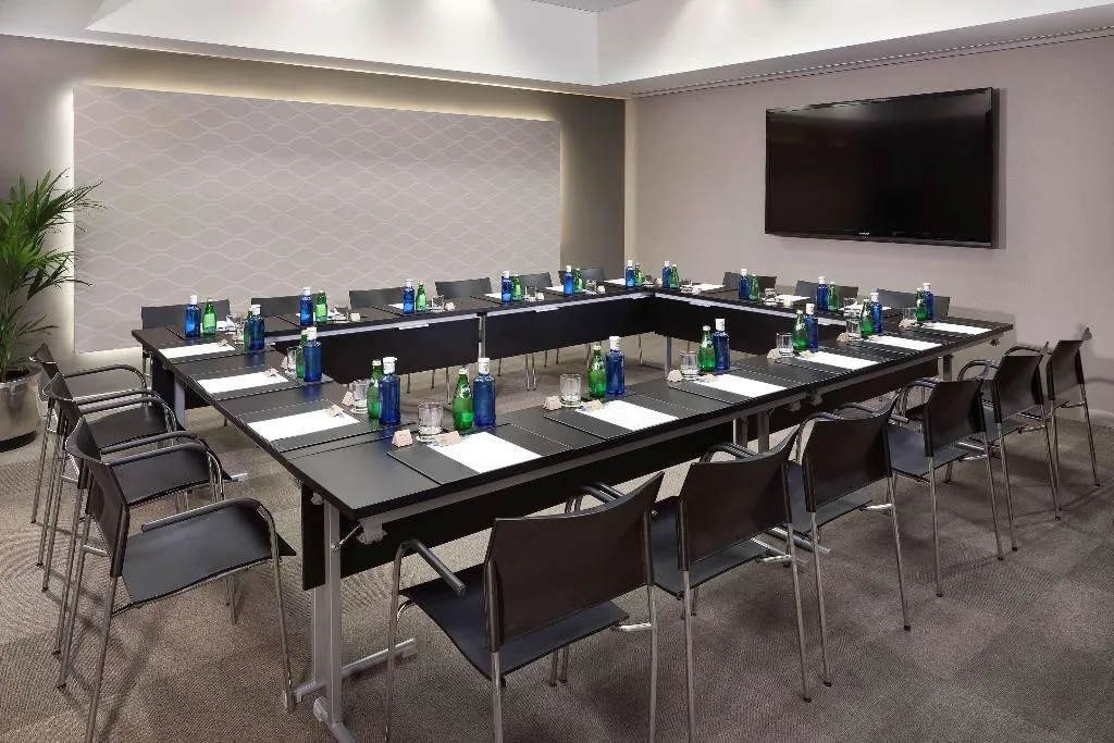 Conferences, Melia Castilla, Madrid